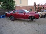 Joe's old Torana